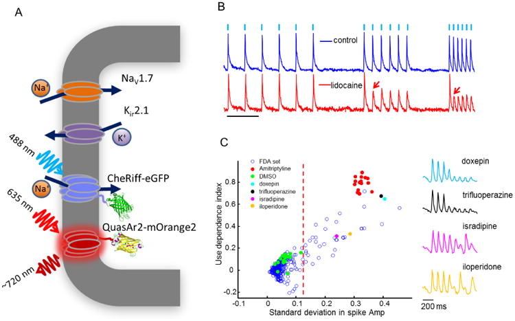 Figure 3