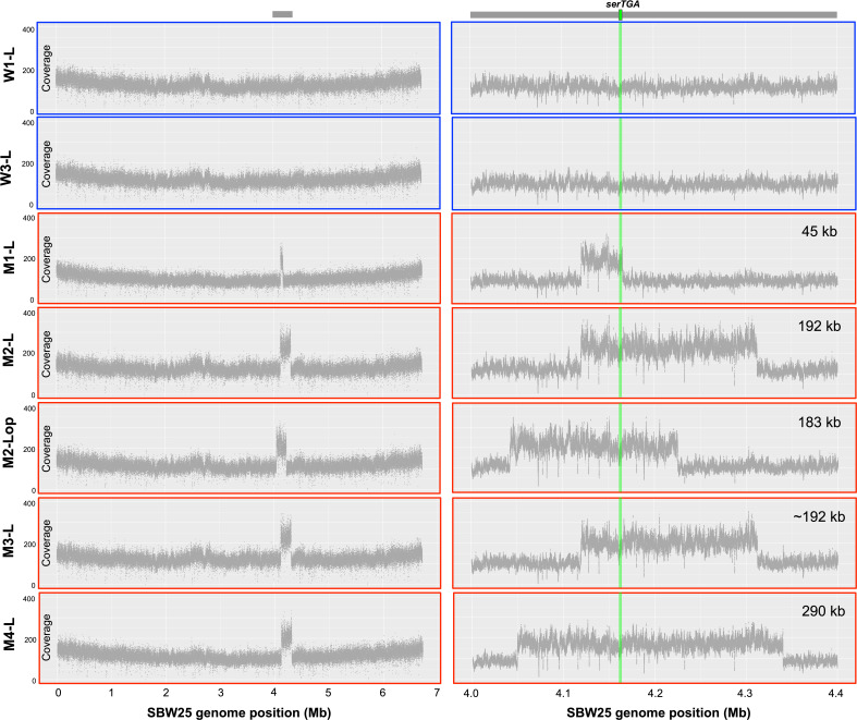 Figure 4—figure supplement 1.