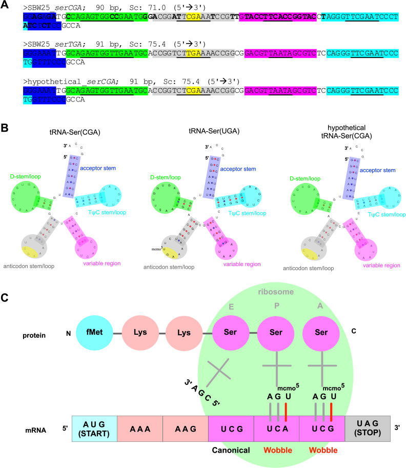 Figure 1—figure supplement 1.