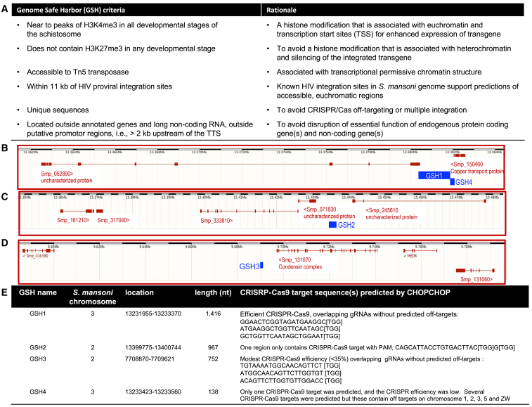 Figure 1