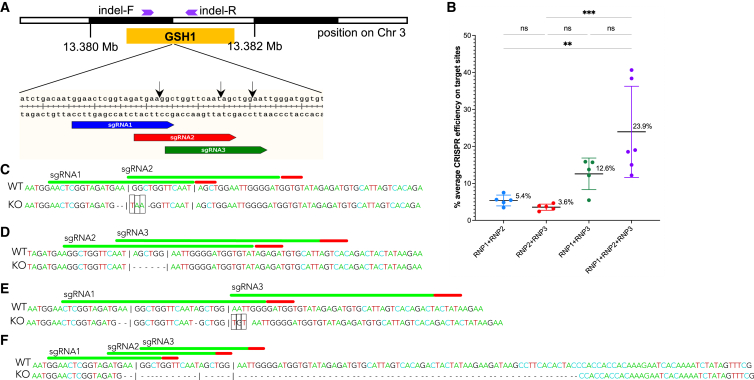 Figure 2