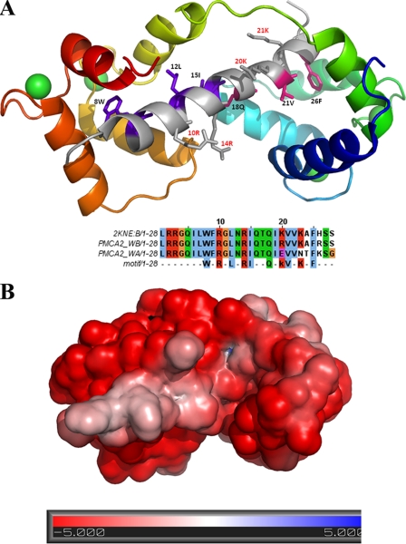 FIGURE 10.