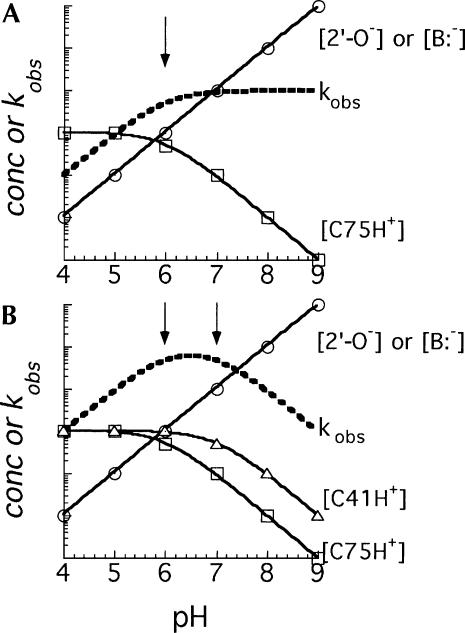 FIGURE 7.