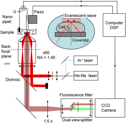 FIGURE 1