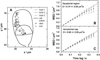 FIGURE 8