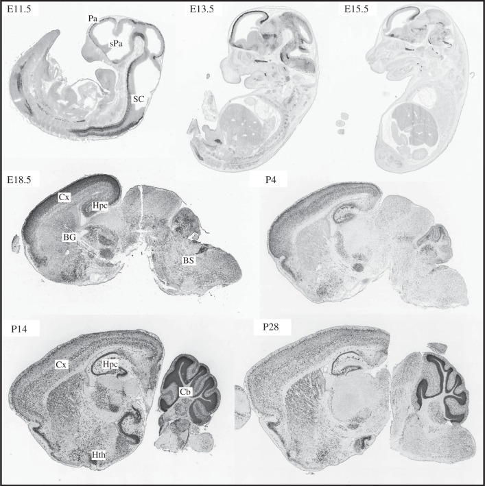 Figure 1.