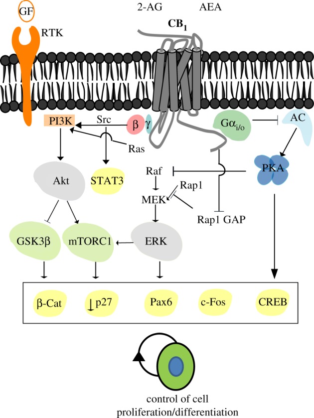 Figure 3.