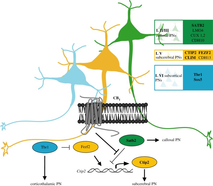 Figure 4.