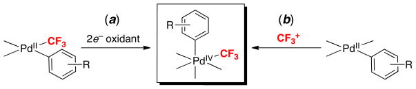 Scheme 2