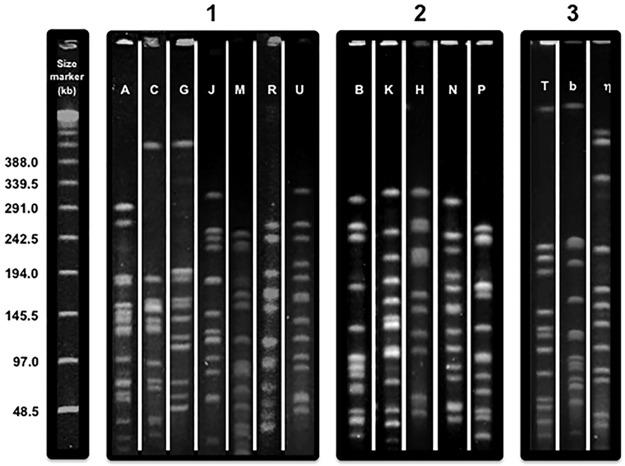 FIG 1