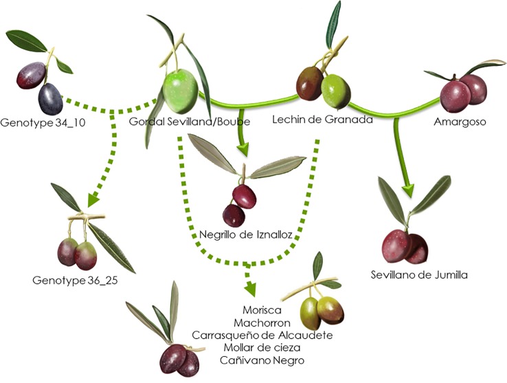 Figure 10