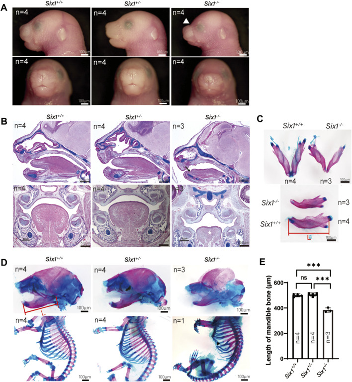 FIGURE 1