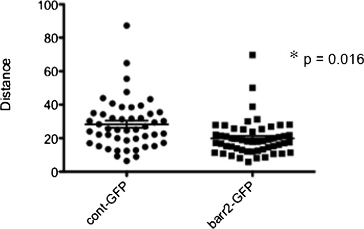 Fig. 8.