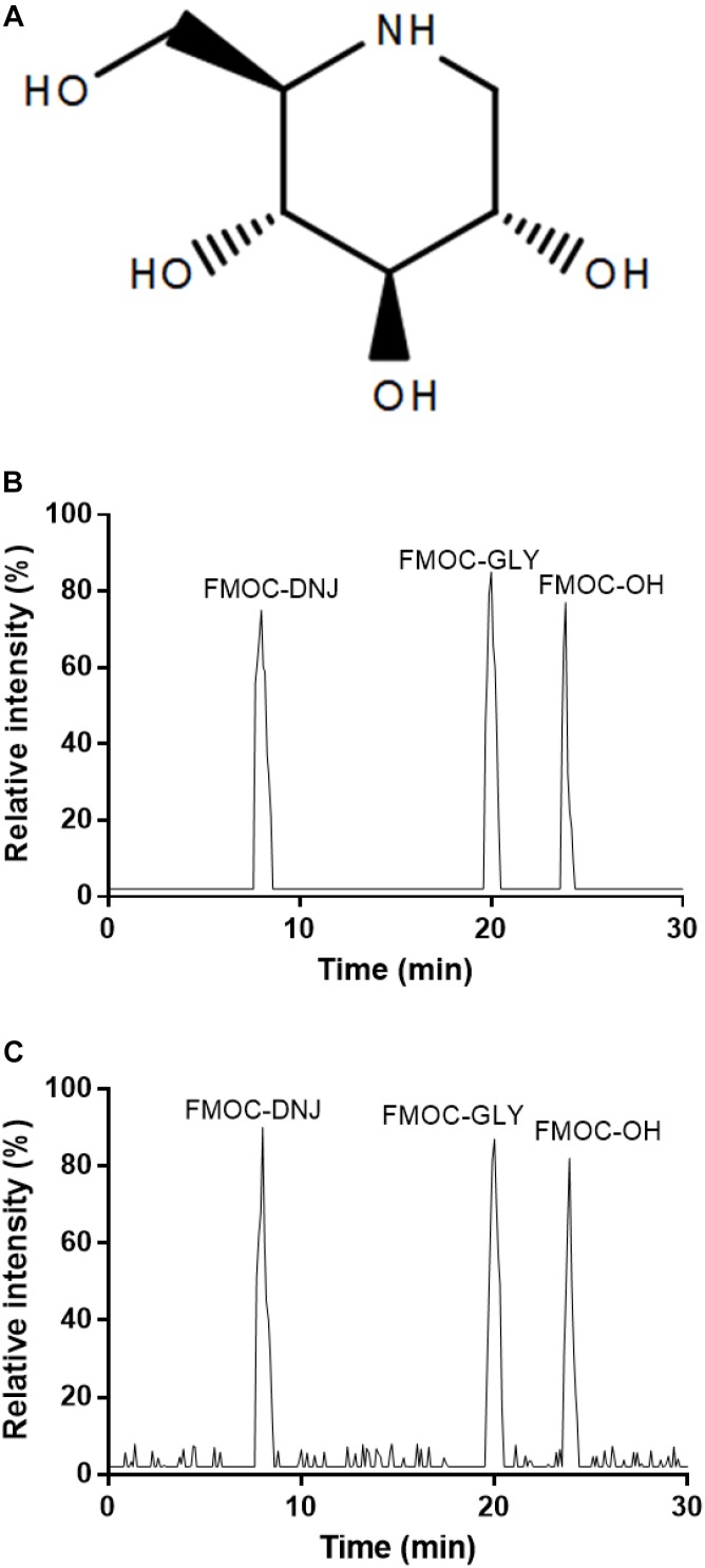 FIGURE 1