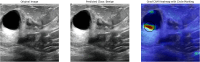 Fig. 24