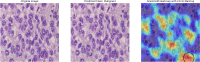 Fig. 25