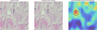 Fig. 23