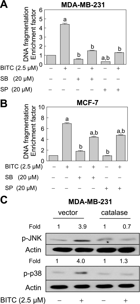 FIGURE 10.