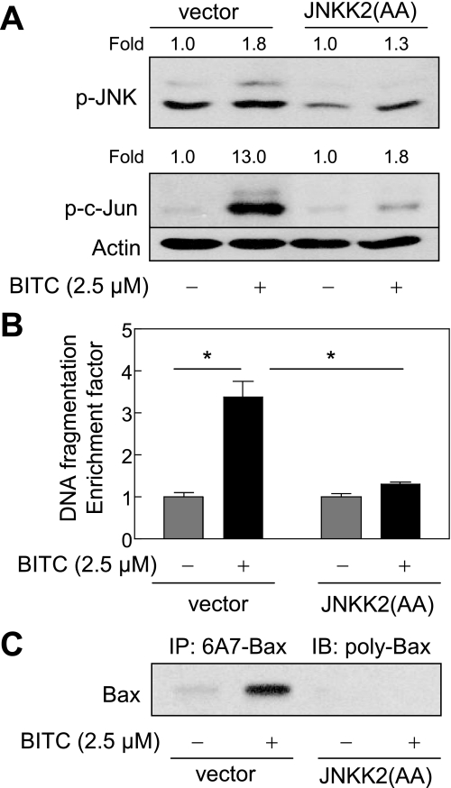 FIGURE 11.