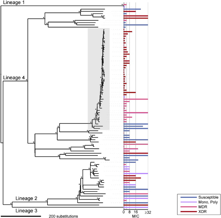 Fig. 2