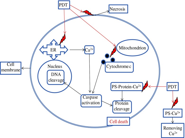 Fig. 2