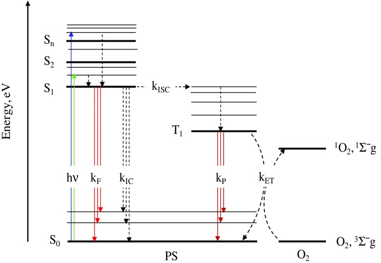 Fig. 1