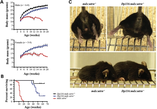 Figure 2.