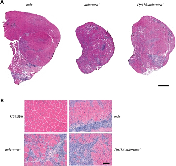 Figure 3.