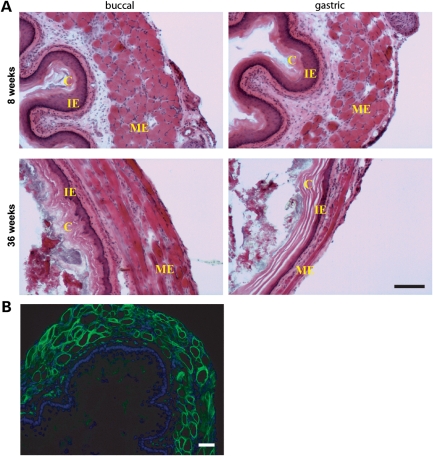 Figure 6.