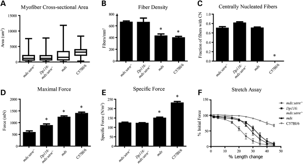 Figure 4.