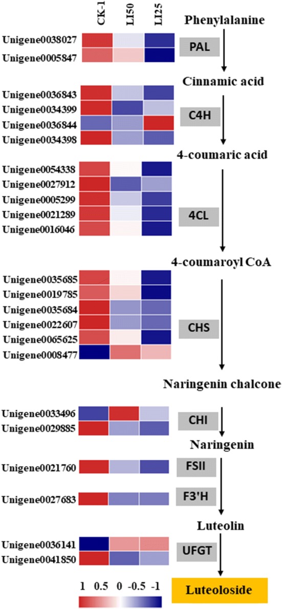 Fig. 6