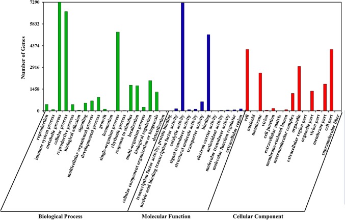 Fig. 3