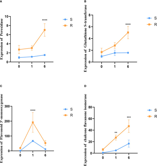 Figure 7