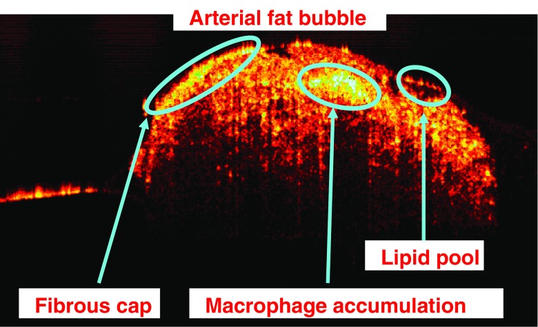 Fig. 6