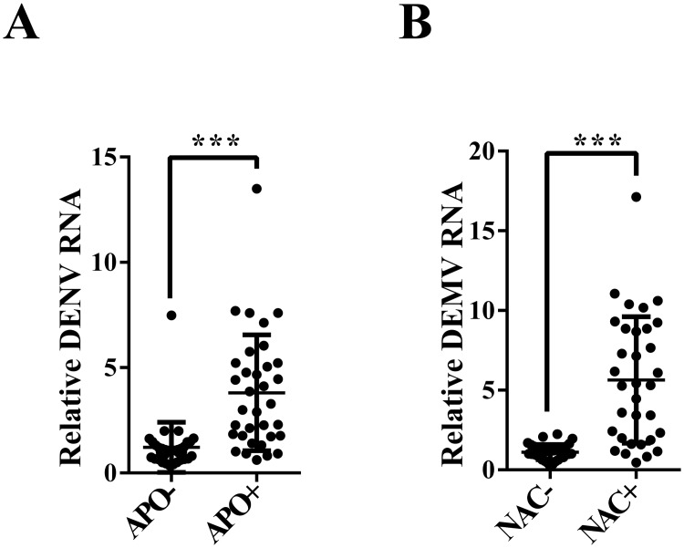 Fig 7