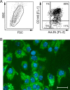 FIG. 4.