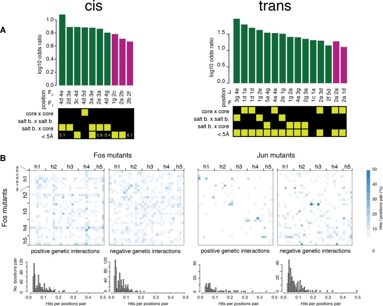 Figure 5—figure supplement 6.