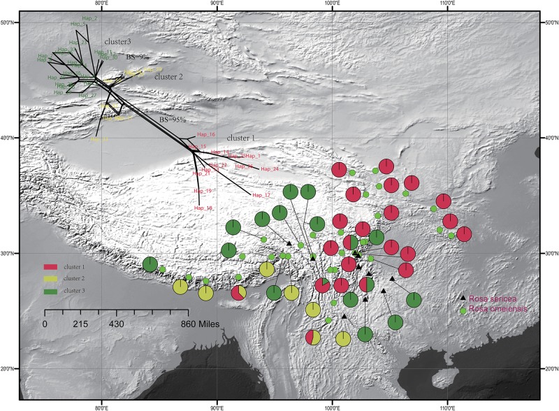 FIGURE 3