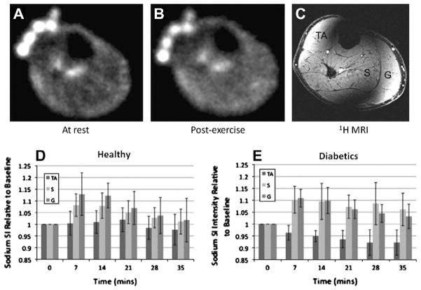 Fig. 15