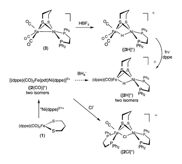 Scheme 1