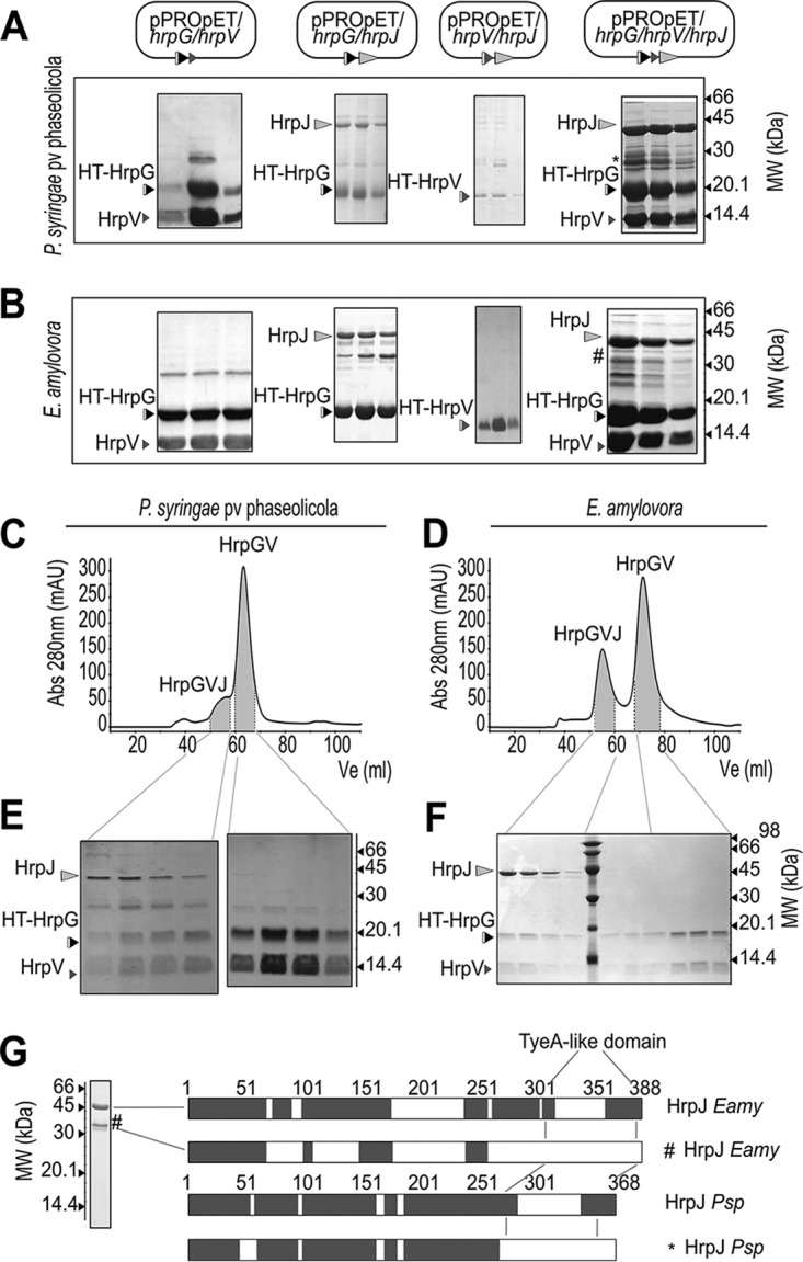 FIG 2 