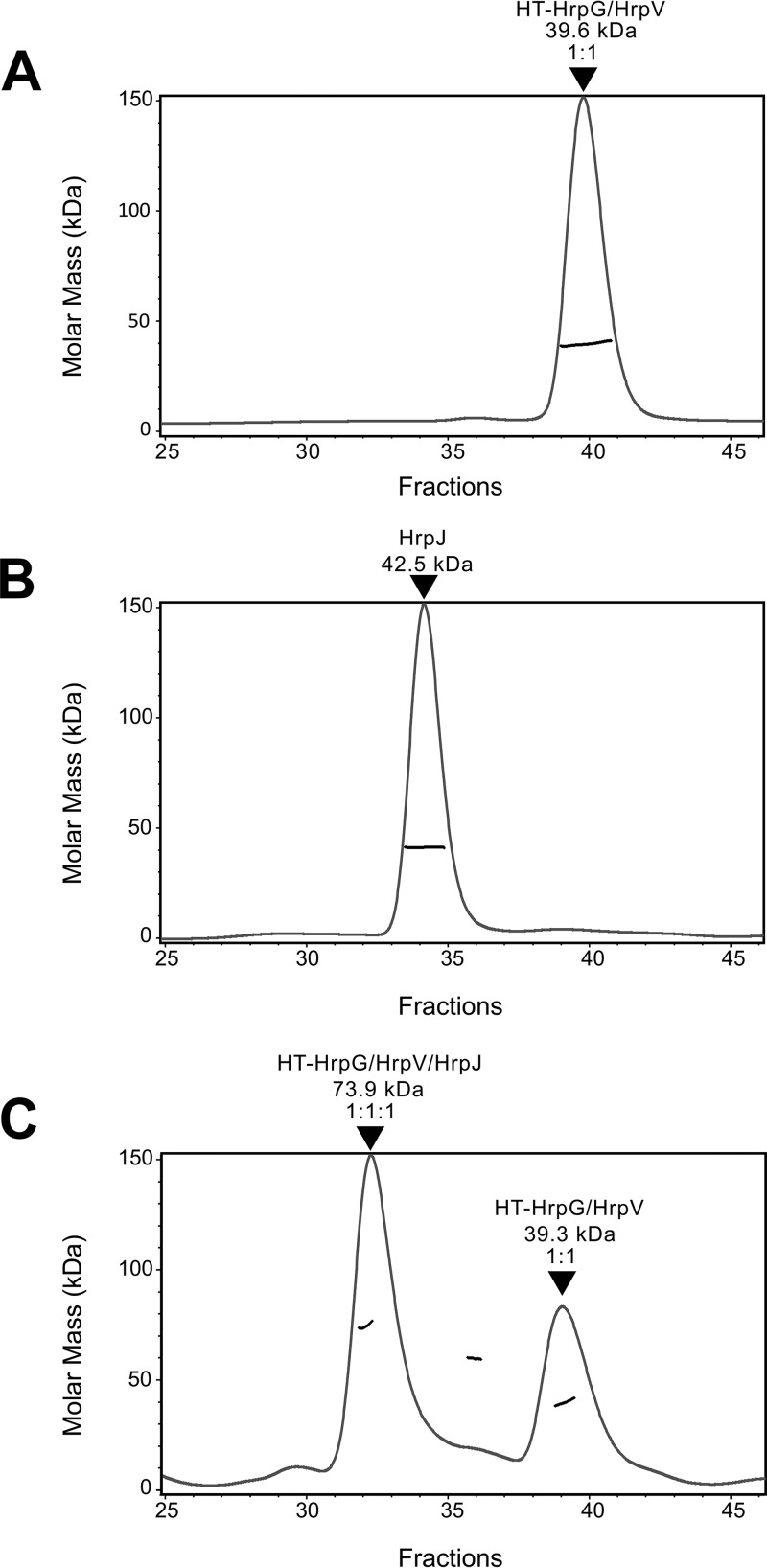 FIG 3 