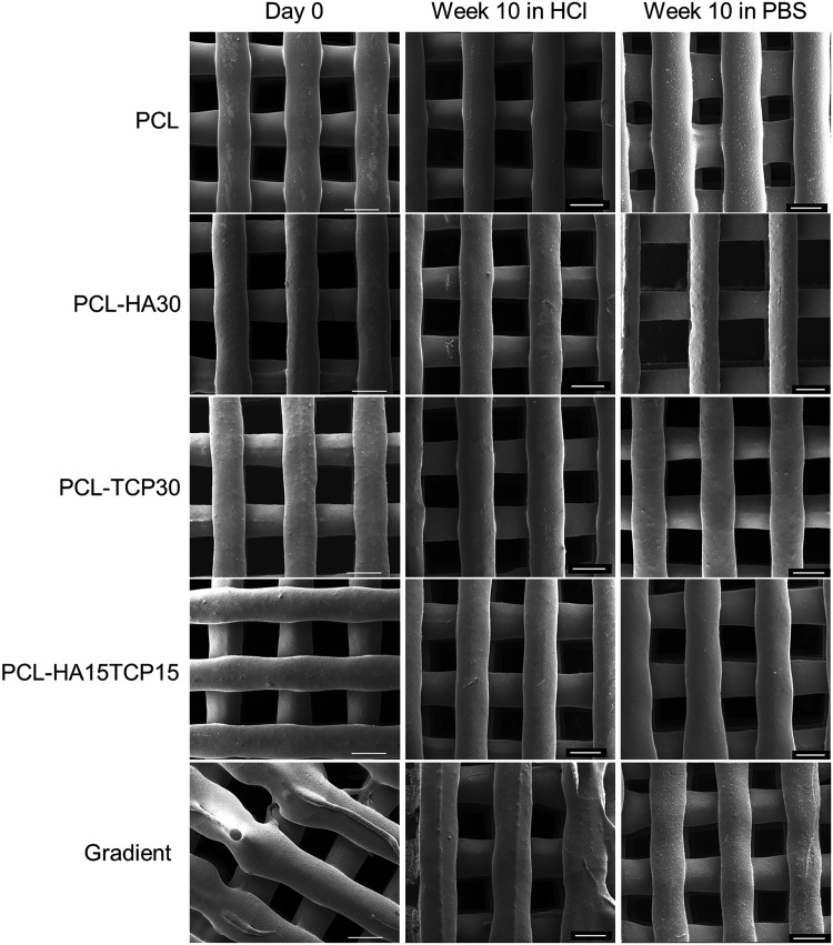 FIG. 9.