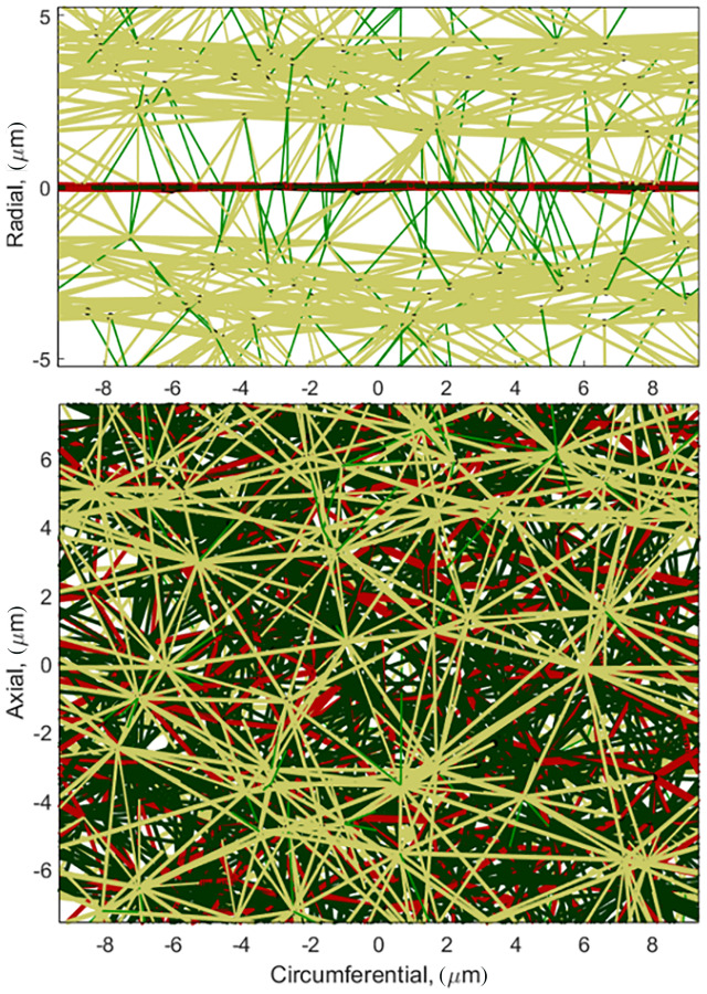 Homeostatic hypertensive MLU showing small diameter(r < 25 μm) radial actin fibers (green), large diameter actinfibers(r > 25 μm) (gold), planar collagen (red), and planar elastin (black)