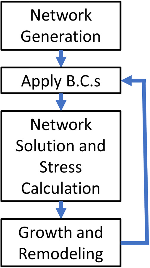 Computational model flowchart