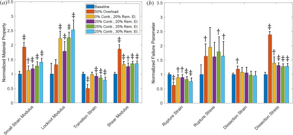 (a) Mechanical properties of baseline and pathological vessels. (b) Failure properties of baseline and pathological vessels. Solid bars are means and the error bars are 95% confidence interval for N = 8. The symbol † represents p < 0.05 and the symbol ‡ represents p < 0.005 relative to the baseline vessel.