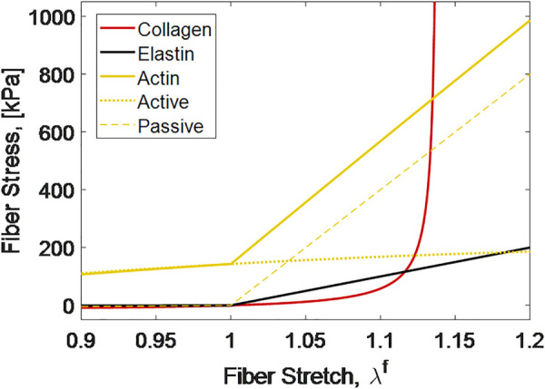 Mechanical behavior of fiber constituents