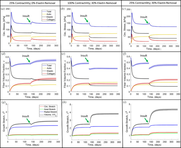 (a) Circumferential stress evolution for contractility reduced to 25% of normal with no elastin removal. (b) Circumferential stress evolution for normal contractility with 30% elastin removal. (c) Circumferential stress evolution for contractility reduced to 25% of normal with 30% elastin removal. (d) Fiber volume fraction evolution for contractility reduced to 25% of normal with no elastin removal. (e) Fiber volume fraction evolution for normal contractility with 30% elastin removal. (f) Fiber volume fraction for contractility reduced to 25% of normal with 30% elastin removal. (g) MLU growth for contractility reduced to 25% of normal with no elastin removal. (h) MLU growth for normal contractility with 30% elastin removal. (i) MLU growth for contractility reduced to 25% of normal with 30% elastin removal. Solid lines are means and the shaded region is 95% confidence interval for N = 8.