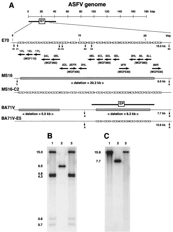 FIG. 6