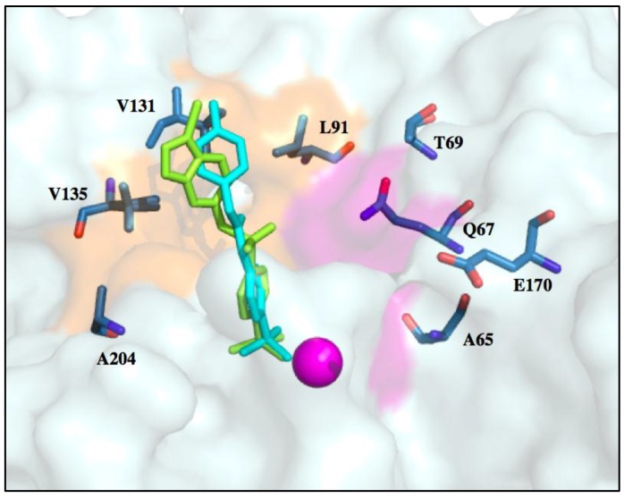 Figure 5